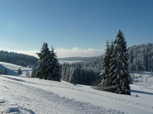 Catalli Herrischried Exterior foto